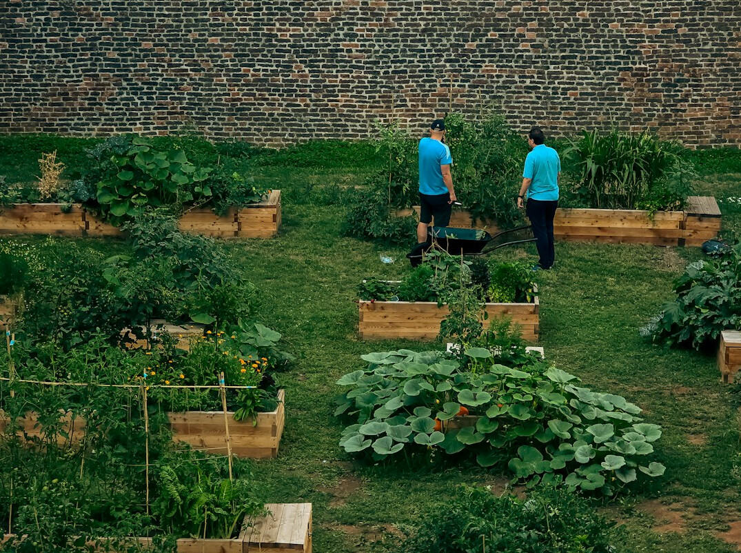 community garden meeting